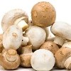 Champignon